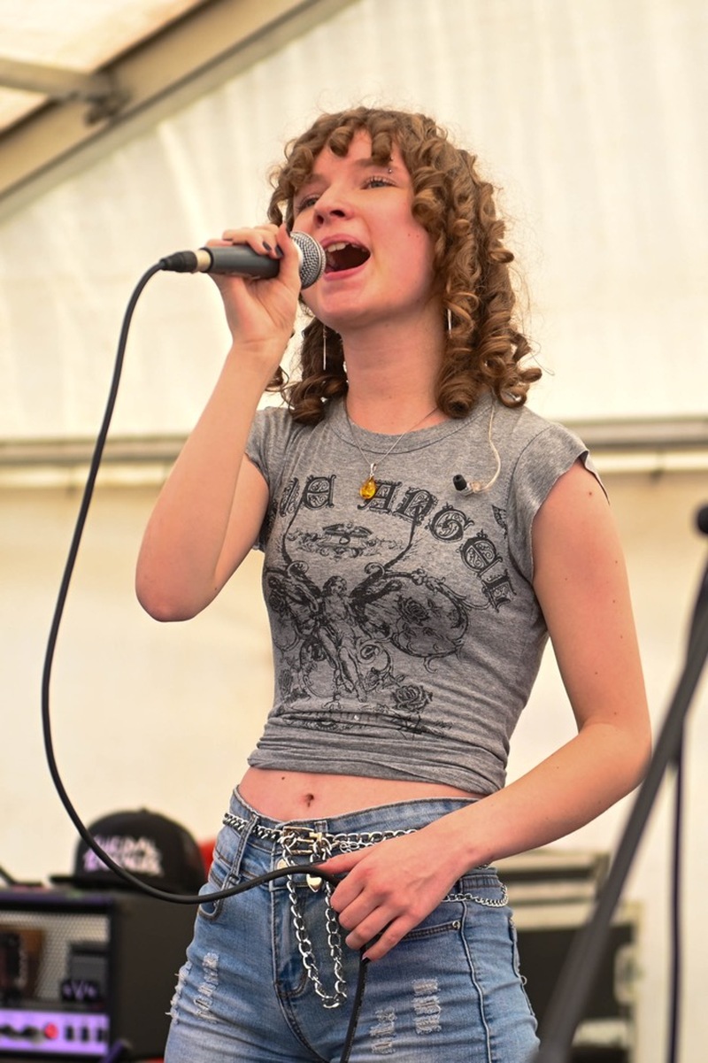 Other image for Town centre comes alive with fundraising music festival